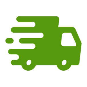 fast-delivery 1